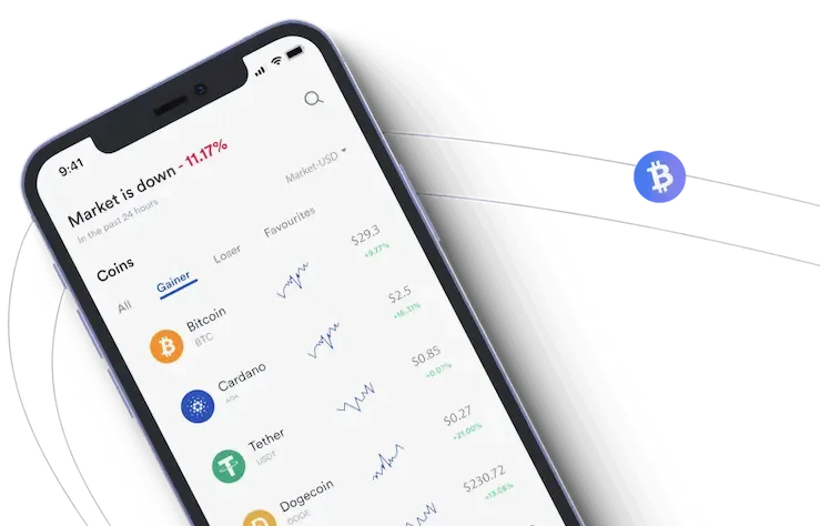 PalvurC0IN estrategia de inversión